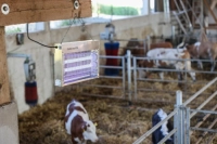 Lampa owadobójcza EkoKill, 2x15 W, Kerbl