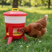 Karmidło automatyczne dla drobiu kury kaczki gęsi GAUN Imperial Hopper 30 l
