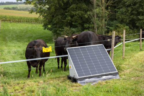Stacja solarna AKO Solar PowerStation smart XL (12 J) 12 V, urządzenie do ogrodzeń elektrycznych