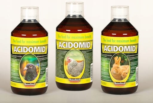 ACIDOMID-9L-KROLIK-PREPARAT-BAKTERIA-KOKCYDIOZA-Postac-plyn.jpg