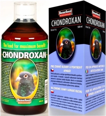 CHONDROXAN-500-ml-GOLAB-NA-BOLE-STAWOW-WYDAJNOSC.jpg