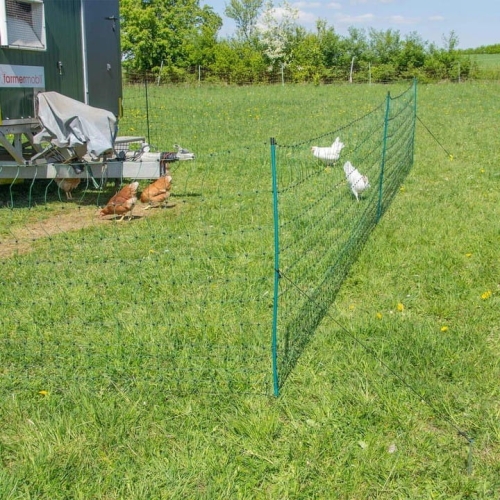 Siatka elektryczna dla drobiu pastuch 50 m/120 cm