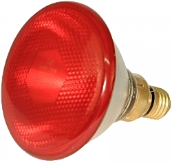 ŻARÓWKA 175 PAR CZERWONA.jpg