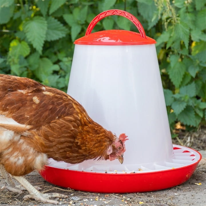 KARMNIK-KARMIDLO-PASNIK-DLA-DROBIU-KUR-GESI-12-KG-Rodzaj-karminik.jpg