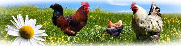 77e0f3524f639e3935b60e5a6afc.jpg