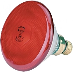 Żarówka promienika (kwoka) Philips 175W PAR 38 czerwona