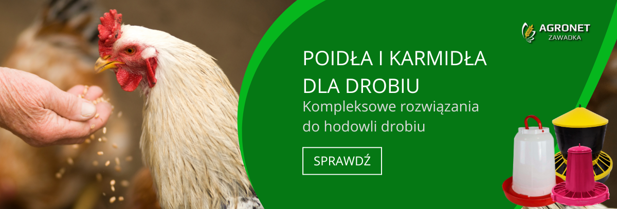 dla-drobiu-2024-desktop