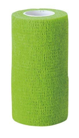 53119262b4c219fc8facc764e8cc4125