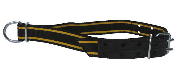 2035.png